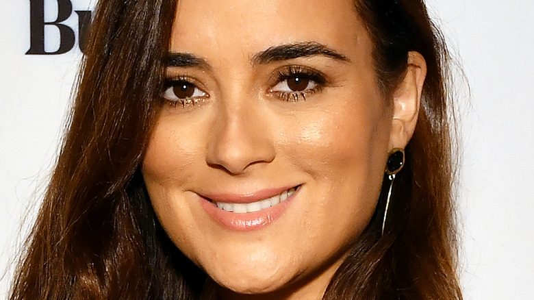 Cote de Pablo smiles on the red carpet