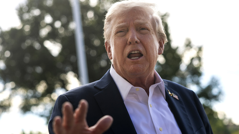 Donald Trump addressing a crowd