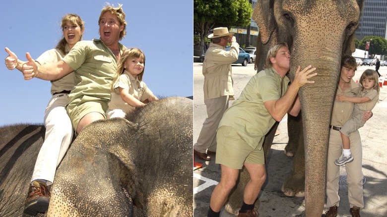 Terri Irwin, Steve Irwin, and Bindi Irwin on elephant.