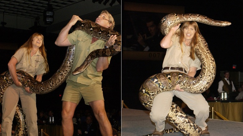 Terri Irwin and Steve Irwin holding a boa.