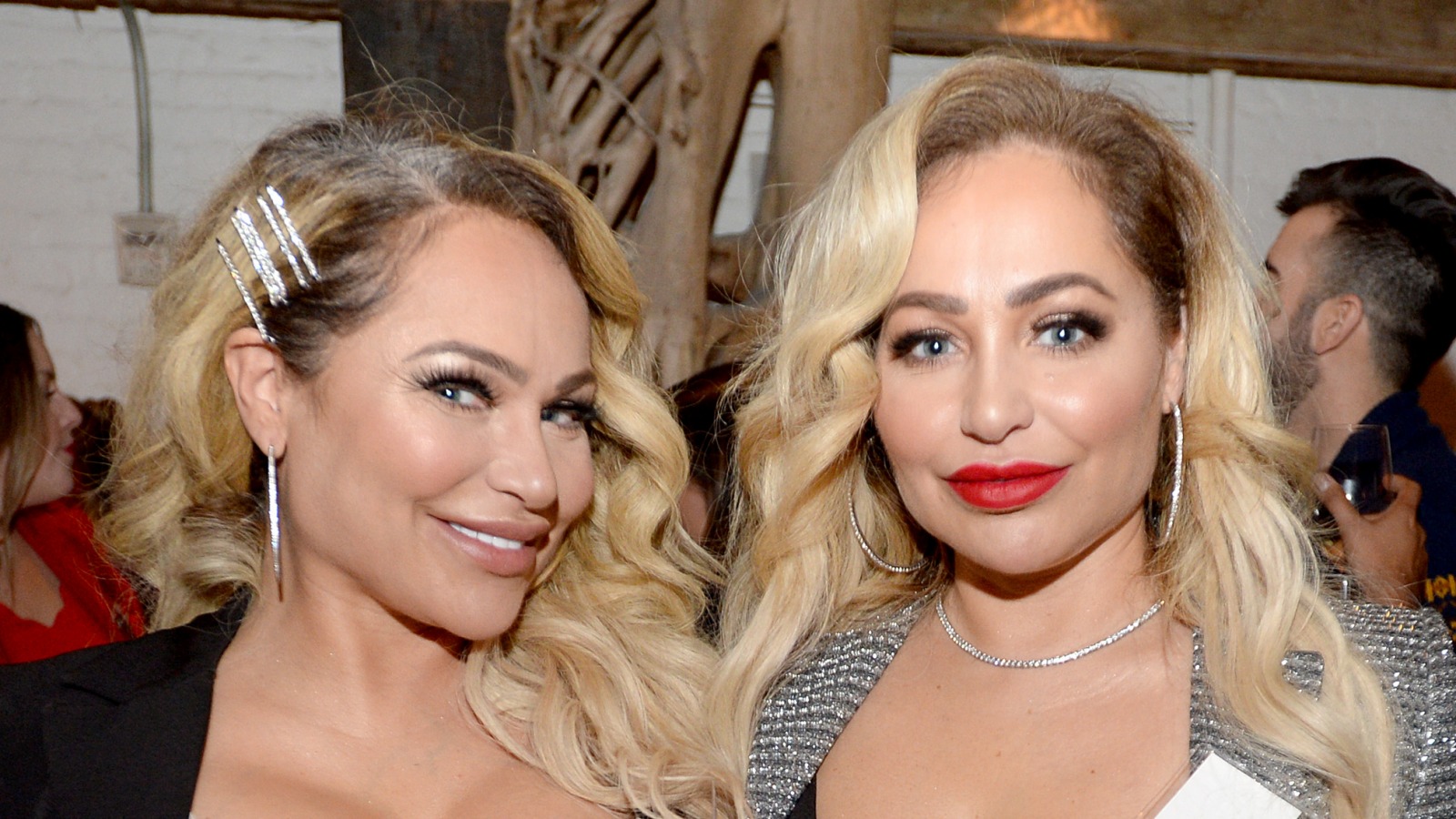 Darcey And Stacey Silva Were Unrecognizable Before Plastic Surgery