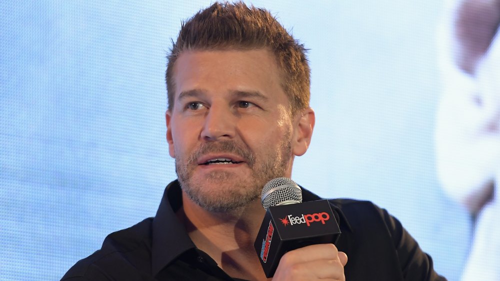 David Boreanaz