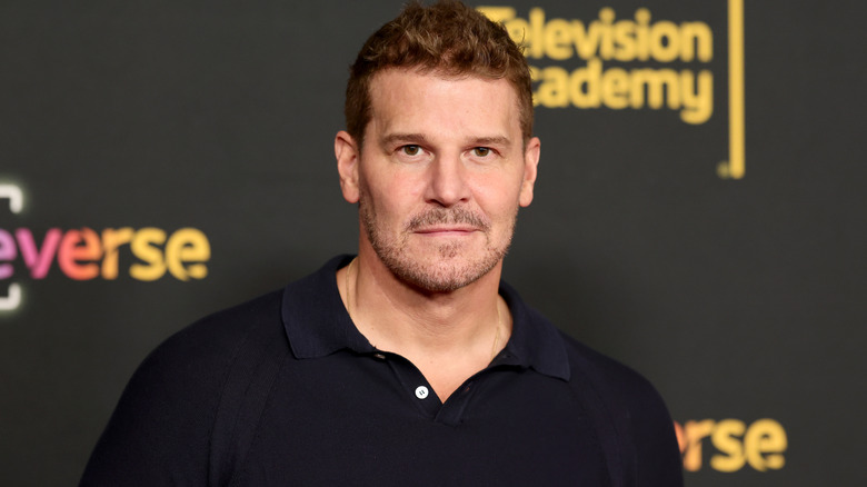 David Boreanaz on the red carpet.