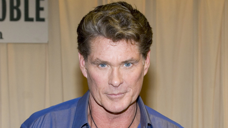 David Hasselhoff posing