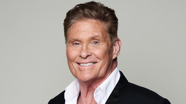 David Hasselhoff portrait