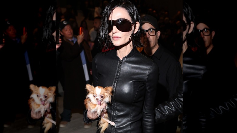 Demi Moore on Gucci red carpet with dog