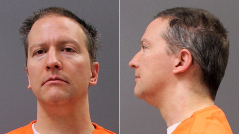 Derek Chauvin's booking photo from the Minnesota Department of Corrections