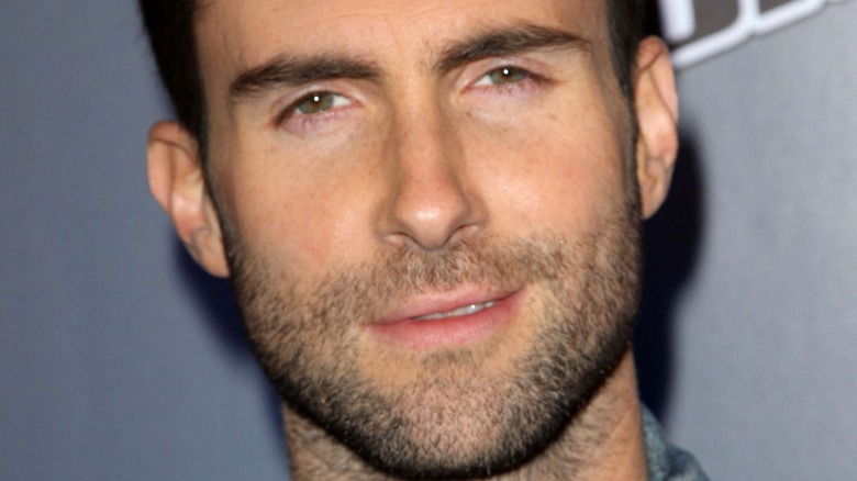 Adam Levine on the red carpet