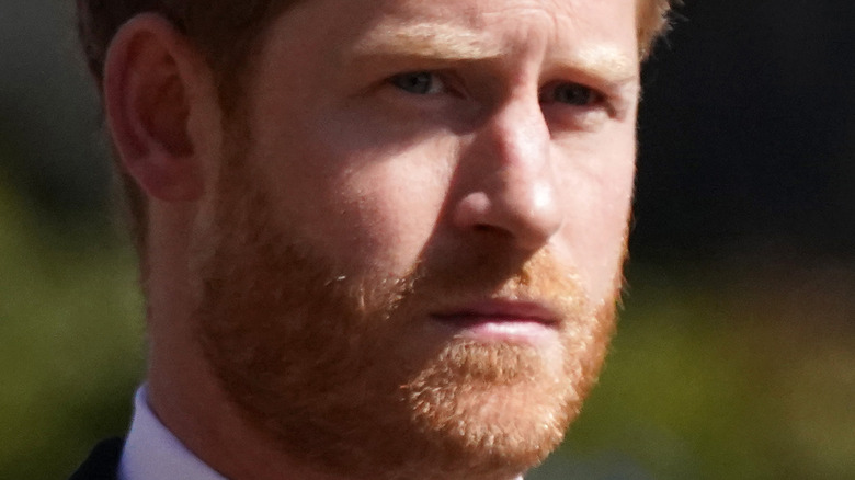 Prince Harry beard