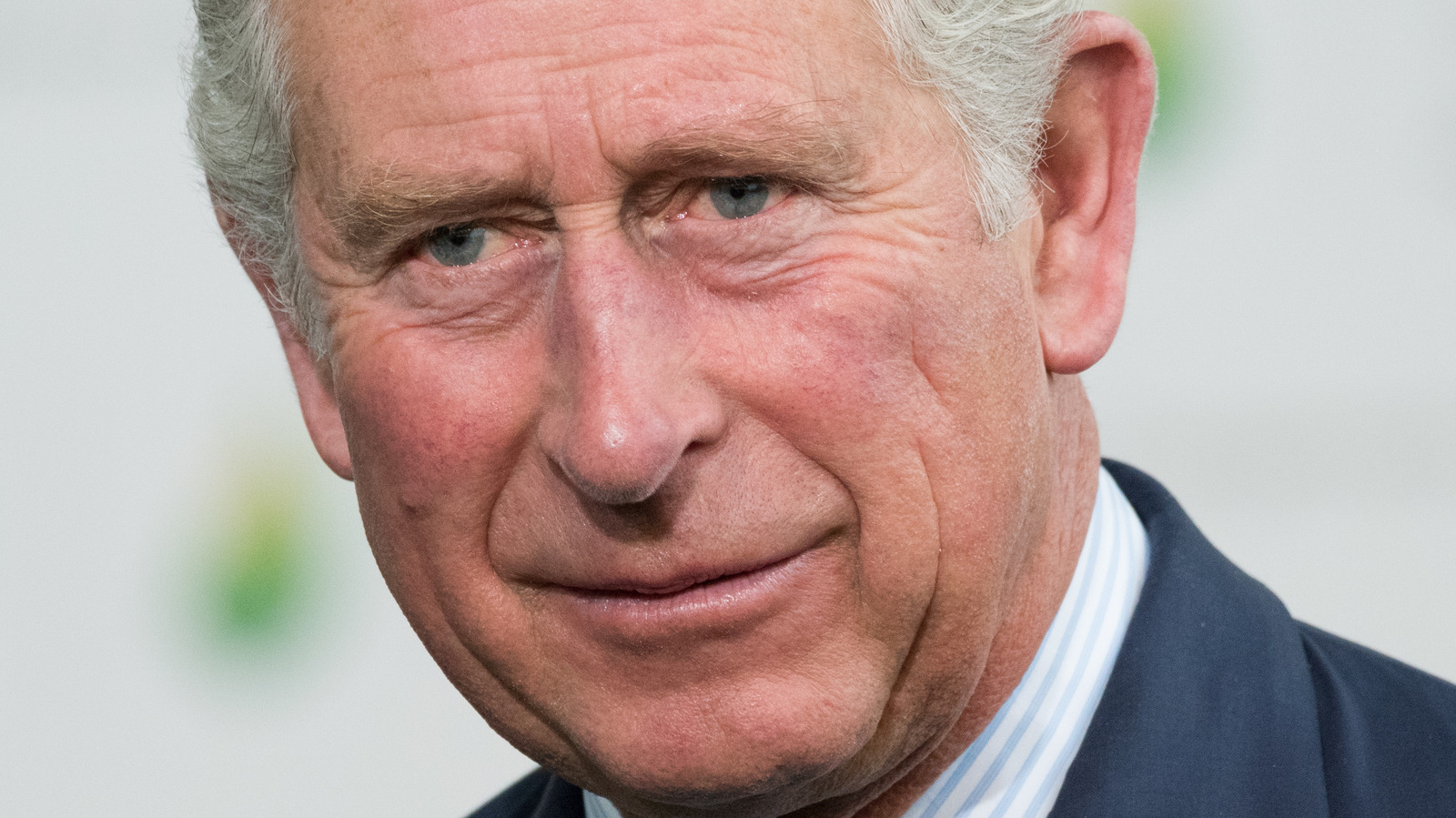 Did Prince Charles Get A Warning About Prince Harry's Upcoming Memoir?