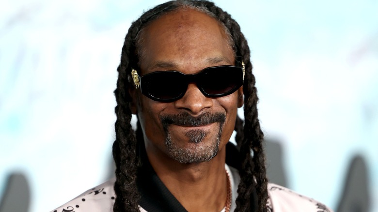 Snoop Dogg smirk