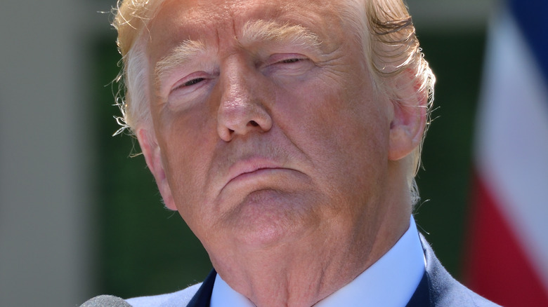 Donald Trump at 2019 press conference in Rose Garden
