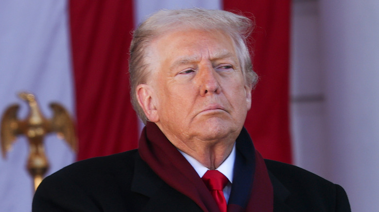 Donald Trump at Veteran's Day ceremony