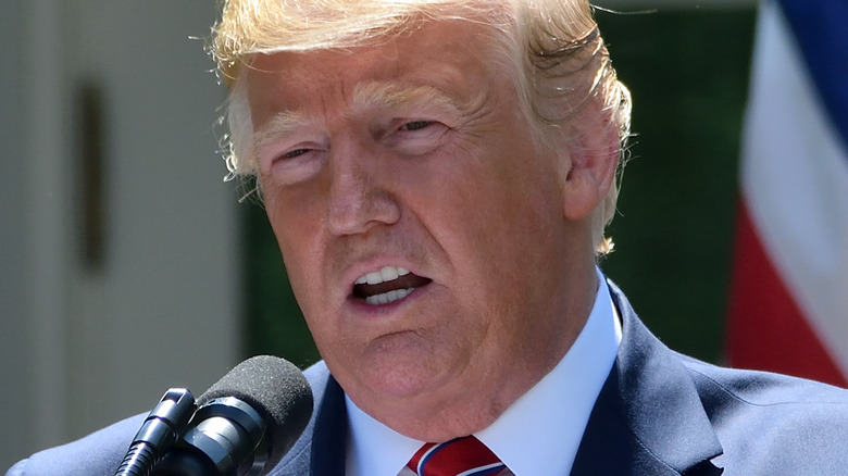 Donald Trump addressing reporters in front of the White House