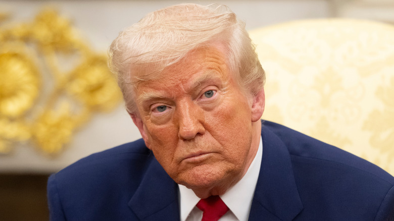 Donald Trump seated in a chair