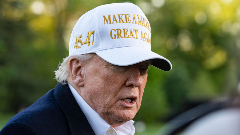 Donald Trump wearing MAGA hat