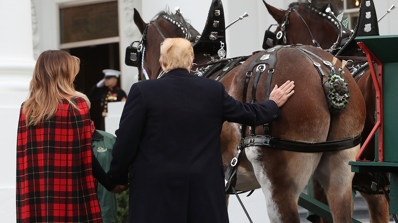 Melania and Donald Trump petting a horse 