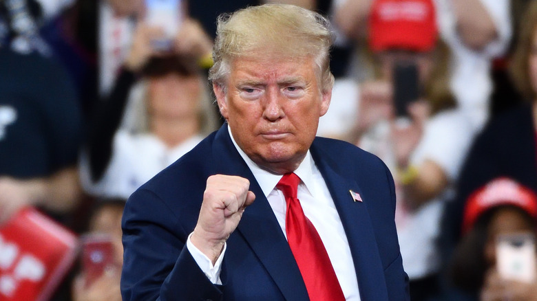 Donald Trump punching air