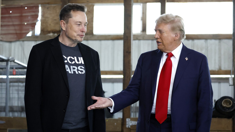 Elon Musk speaking to Donald Trump
