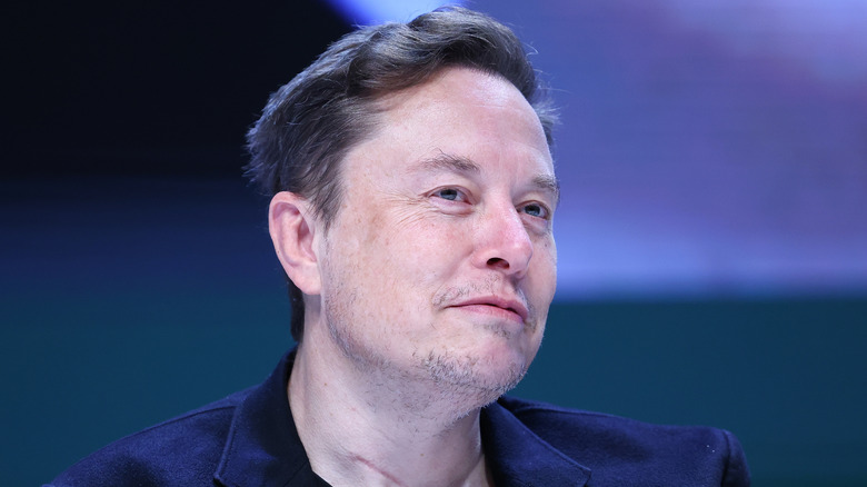 Elon Musk smirks