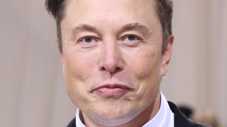 Elon Musk red carpet