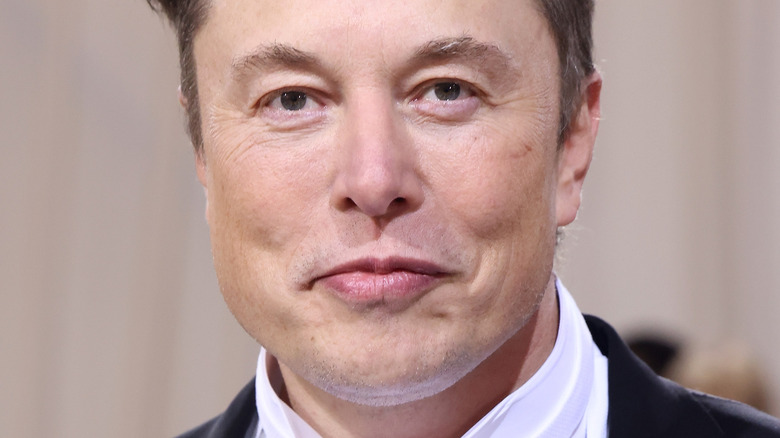 Elon Musk posing