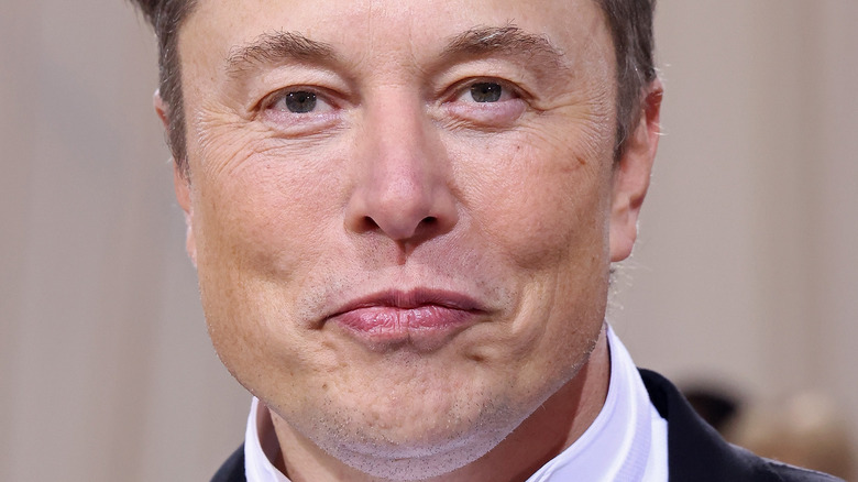 Elon Musk smiling for photo