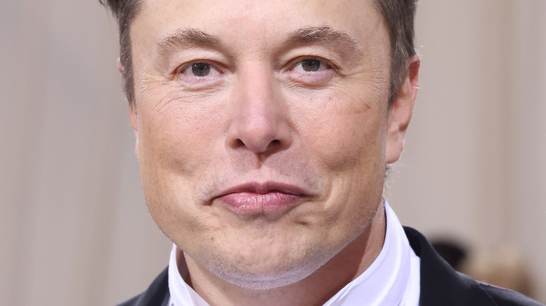 Elon Musk smirking