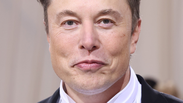 Elon Musk posing