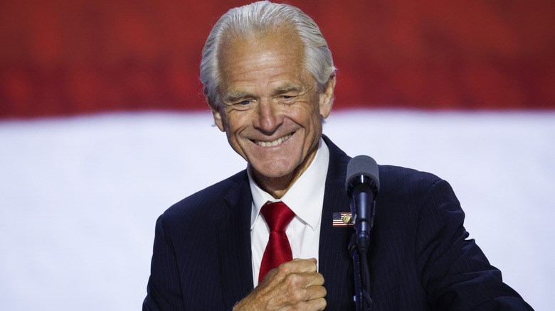 Peter Navarro at the 2024 RNC.