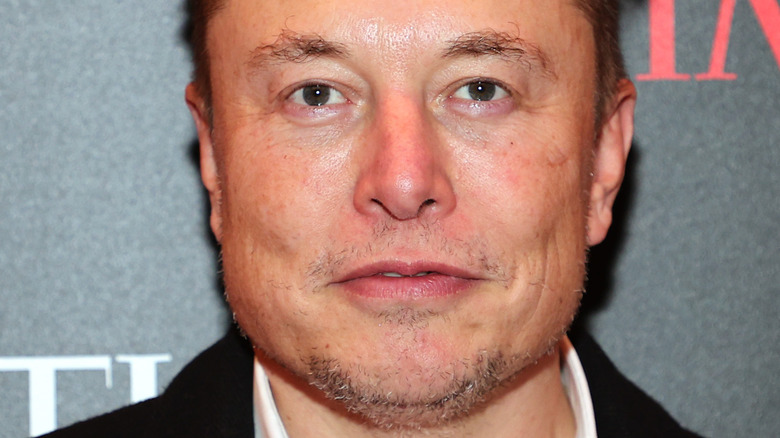 Elon Musk looking into the camera
