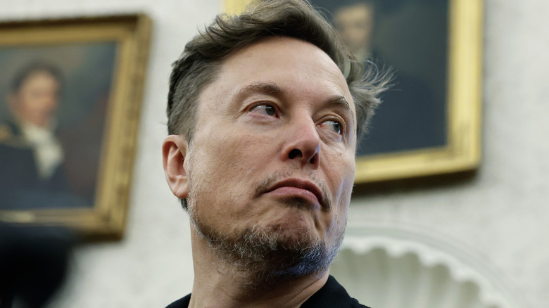 Elon Musk at The White House, looking off to the side, a scraggly beard and barely there mustache visible