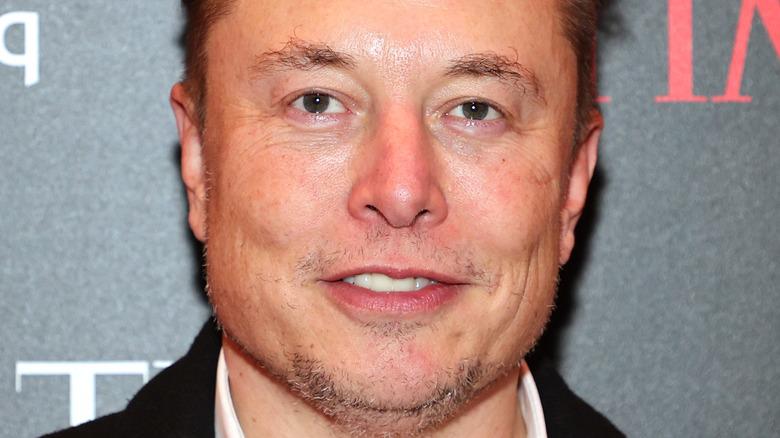Elon Musk smiles