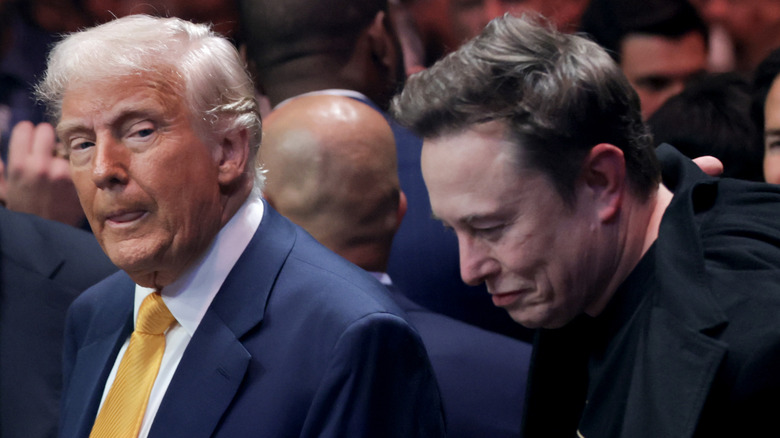Donald Trump and Elon Musk at a UFC event