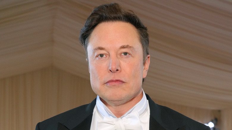 Elon Musk, smirking