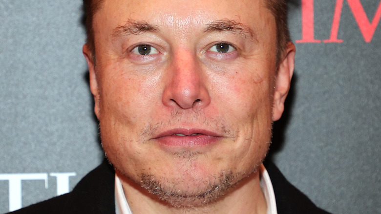Elon Musk grey stubble goatee