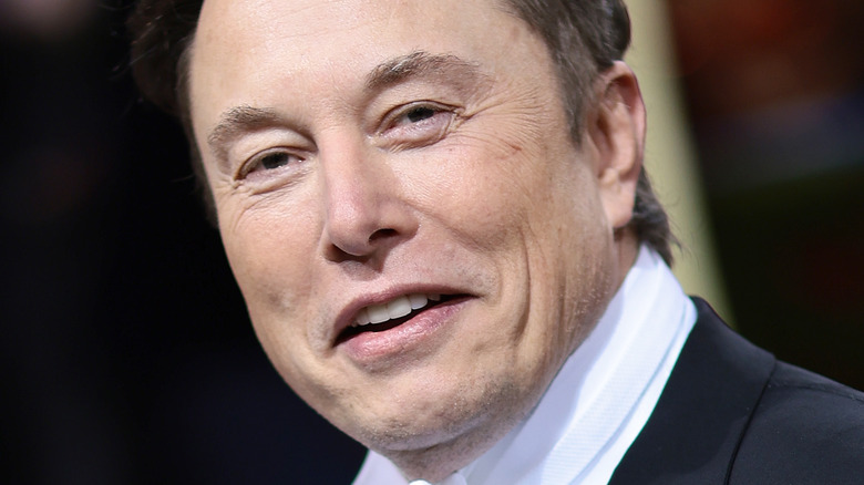 Elon Musk smirking