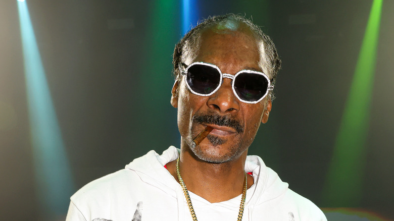 Snoop Dogg with sunglasses and a blunt in his mouth