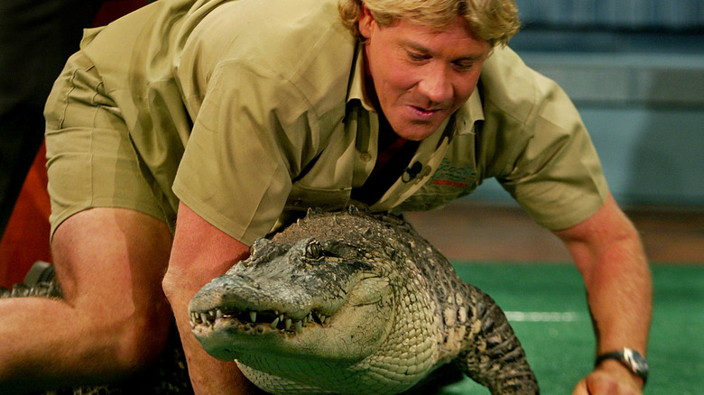 Steve Irwin leans over a crocodile