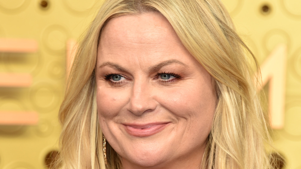 Amy Poehler smiling 