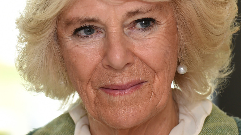 Camilla Parker Bowles looking concerned