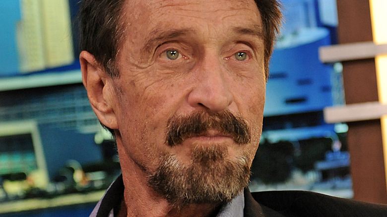 john mcafee gotee