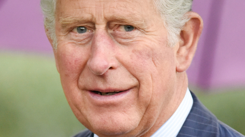 Prince Charles smiling