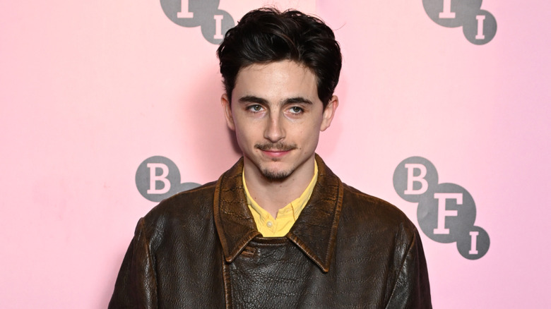 Timothee Chalamet on the red carpet