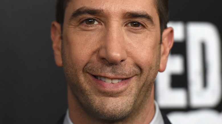 David Scwimmer smiling