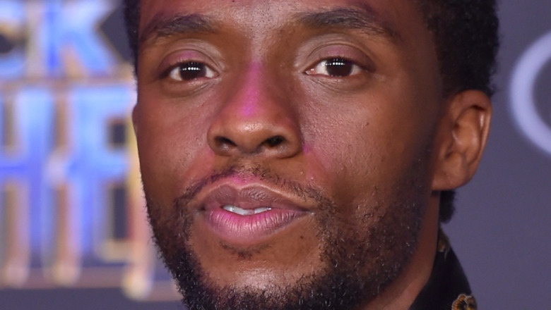 Chadwick Boseman on the red carpet