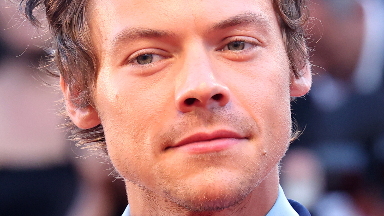 Fans Can't Believe Their Eyes During Harry Styles' Interaction With