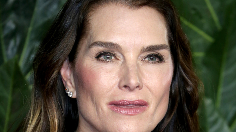 Brooke Shields posing