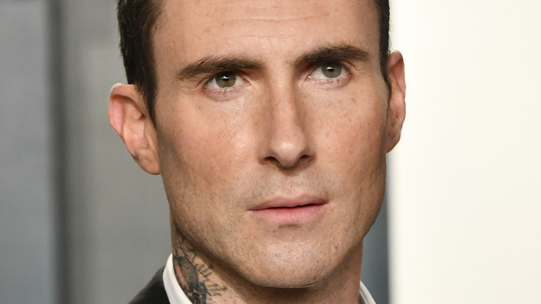 Adam Levine posing