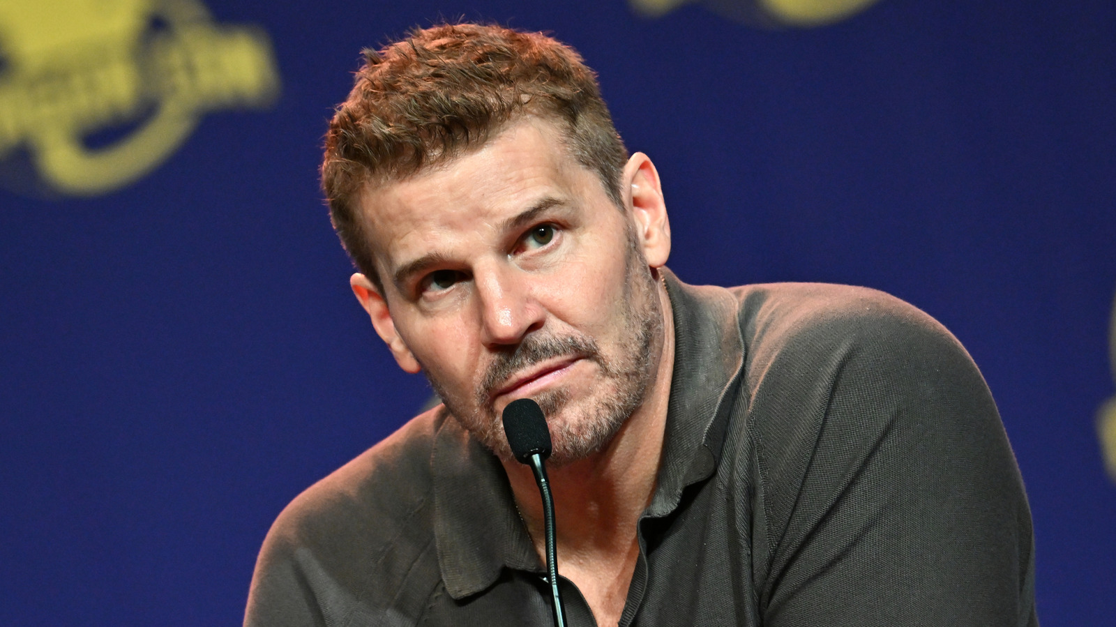 Fresh Start? David Boreanaz Made A Major Life Change After His Reported Mistress Spoke Out